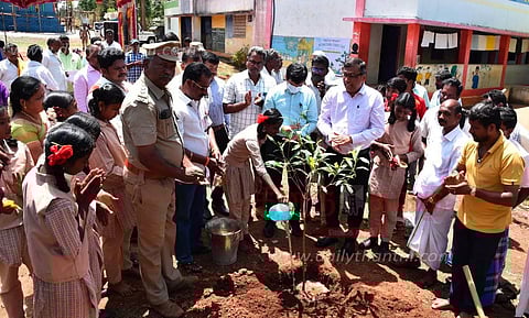 மாவட்டத்தில் வனப்பரப்பை 33 சதவீதமாக அதிகரிக்க நடவடிக்கை
