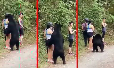 ஆள் உயர கரடியிடம் சிக்கிய இளம்பெண்ணின் புத்திசாலித்தனம்; வைரலான வீடியோ