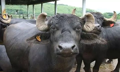 கோப்புப்படம்