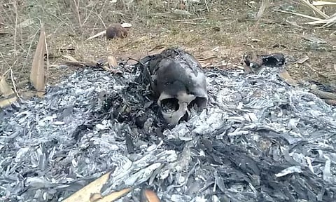 வீட்டு வாசலில் மனித மண்டை ஓடு, எலும்புகள்