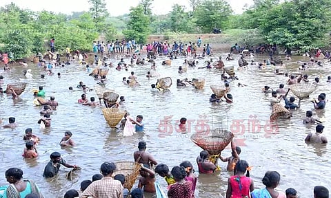 கண்மாய்களில் களைகட்டிய மீன்பிடி திருவிழா