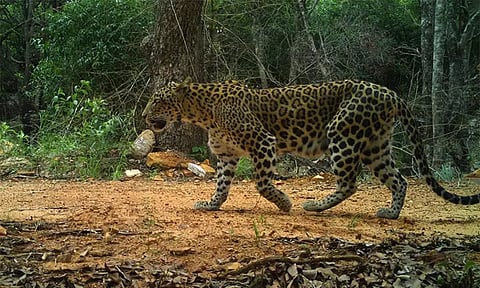 கோப்புப்படம்