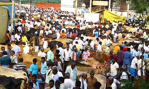 பொய்கை வாரச்சந்தையில் விற்பனைக்காக குவிந்த கறவை மாடுகள்