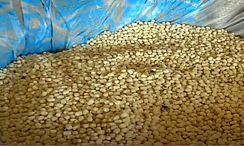 உள்நாட்டுச் சந்தை பாதிக்கும் வகையில் சரக்கு இருப்பு வைத்திருக்க வேண்டாம் - பருப்பு இறக்குமதியாளர்களுக்கு மத்திய அரசு அறிவுறுத்தல்