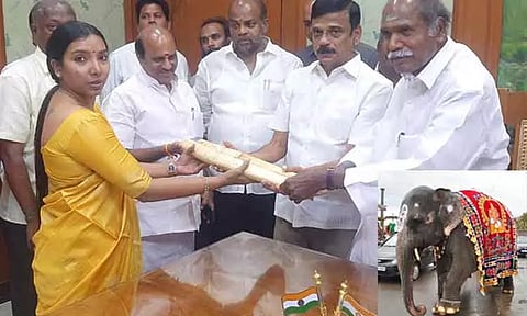 புதுச்சேரி: உயிரிழந்த கோவில் யானையின் தந்தம் - முதல்-மந்திரி ரங்கசாமியிடம் வனக்காப்பாளர் வழங்கினார்