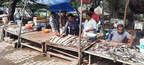 பாலக்கோடுமீன் விற்பனை நிலையங்களில் உணவு பாதுகாப்பு அதிகாரிகள் திடீர் ஆய்வு