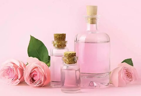 ஆர்கானிக் ரோஜா எண்ணெய் தயாரிப்பு