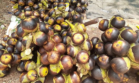 சூடுபிடிக்கும் நுங்கு விற்பனை