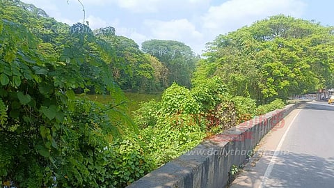 மண்டி கிடக்கும் முட்புதர்களை அகற்ற வேண்டும்