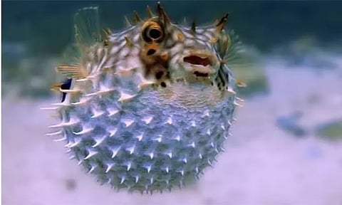 கோப்புப்படம்