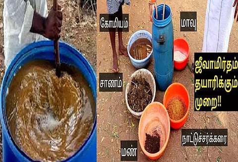 மண்ணை ஜீவனுள்ளதாக்கும் ஜீவாமிர்தம்; மகசூலை அதிகரிக்கும் மாமருந்து