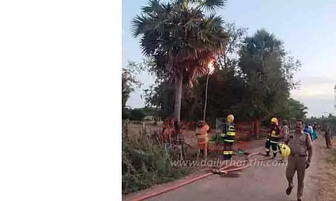 பொதுமக்களை அச்சுறுத்திய விஷ வண்டுகள் அழிப்பு