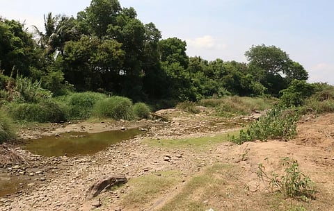 வைகை ஆற்றின் குறுக்கே தடுப்பணை கட்டப்படுமா?; கனவு திட்டத்துடன் காத்திருக்கும் விவசாயிகள்