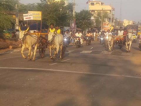 குதிரை, மாட்டு வண்டி பந்தயம்