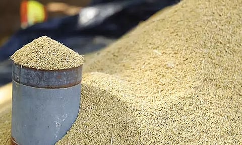 திருவள்ளூர் மாவட்டத்தில் 48 இடங்களில் நெல் கொள்முதல் நிலையங்கள் திறப்பு - விவசாயிகள் பயன் பெறலாம்