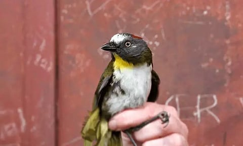 கோப்பு படம்