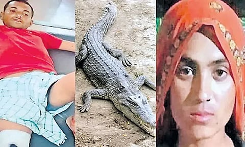 உயிரை பணயம் வைத்து கணவனை முதலையிடம் இருந்து காப்பாற்றிய மனைவி...!