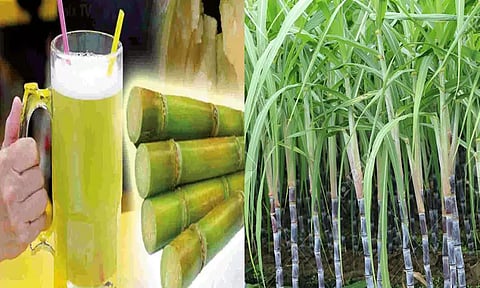 கரும்பு ஜூஸ் ஏன் பருக வேண்டும்?