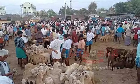 புதுக்கோட்டை சந்தையில் ரூ.1 கோடிக்கு ஆடுகள் விற்பனை
