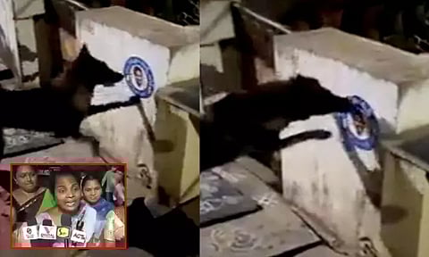 ஆந்திர பிரதேசம்: முதல்-மந்திரி ஸ்டிக்கரை கடித்த நாய்; கொதித்தெழுந்த மகளிர் போலீசில் புகார்