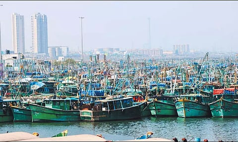 மீன்பிடி தடைகாலம் தொடங்கியது காசிமேடு மீன்பிடி துறைமுகத்தில் 800 விசைப்படகுகள் நிறுத்தம் -மீன் விலை உயர வாய்ப்பு