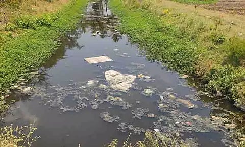 வாய்க்காலிலில் தேங்கி நிற்கும் கழிவுநீரால் சுகாதார சீர்கேடு