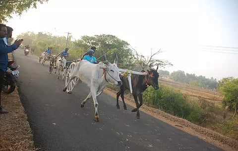 மாட்டு வண்டி எல்கை பந்தயம்