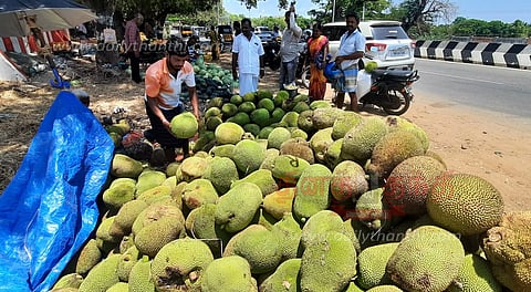 விற்பனைக்காக குவிக்கப்பட்டுள்ள பலாப்பழங்கள்