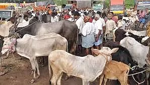 வாரச்சந்தையில் ரூ.85 லட்சத்திற்கு