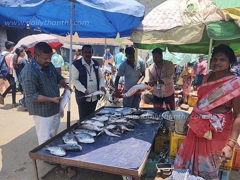 ஒகேனக்கல் மார்க்கெட்டில்300 கிலோ அழுகிய மீன்கள் பறிமுதல்