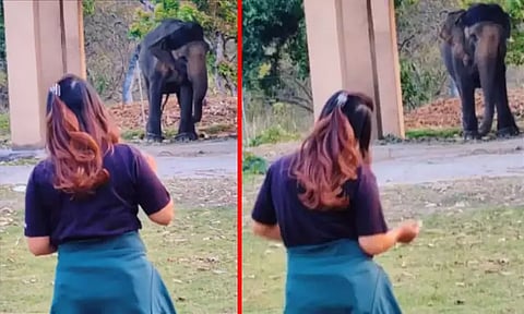தேசிய பூங்காவில் இசை, இளம்பெண்ணுக்கு இணையாக நடனம் ஆடி அசத்திய யானை; வைரலான வீடியோ