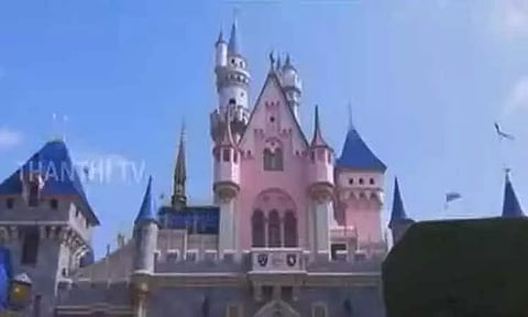 ஆட்குறைப்பு நடவடிக்கையில் தீவிரம் காட்டும் டிஸ்னி நிறுவனம் - ஆயிரக்கணக்கான ஊழியர்கள் வேலையிழக்க வாய்ப்பு