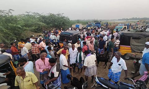 உளுந்தூர்பேட்டை சந்தையில் ரூ.2 கோடிக்கு ஆடுகள் விற்பனை