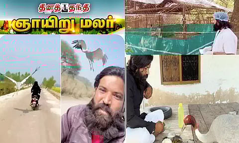 பறவையின் நன்றி மறவாத பாசம்