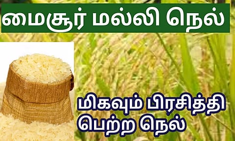 மன்னர்கள் சாப்பிட்ட 'மைசூரு மல்லி'