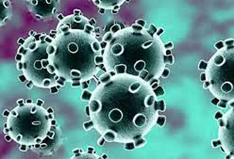 கொரோனாவுக்கு மேலும் ஒருவர் பலி