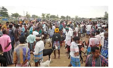சிறுவாச்சூர் சந்தையில் ரூ.30 லட்சத்துக்கு ஆடுகள் விற்பனை