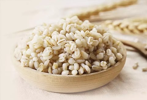 கொழுப்பைக் கரைக்கும் பார்லி