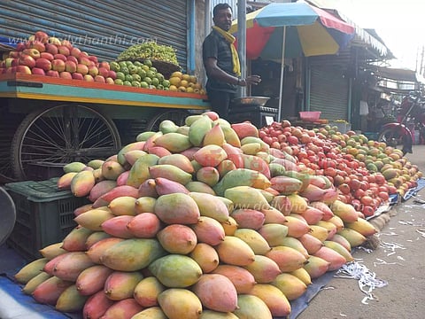 திருவாரூரில், 1½ கிலோ ஒட்டு மாம்பழம் ரூ.100-க்கு விற்பனை