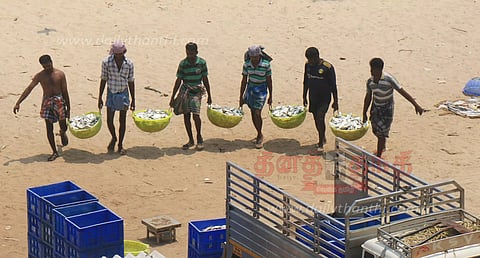 மீன்கள் விலை உயராததால் மீனவர்கள் ஏமாற்றம்