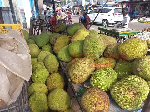 திருவாரூரில், விற்பனைக்கு குவிந்த பலாப்பழங்கள்