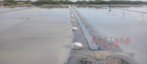 திடீரன பய்த கோடை மழையால் உப்பு உற்பத்தி பாதிப்பு