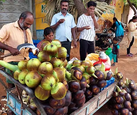 நுங்கு விற்பனை அமோகம்