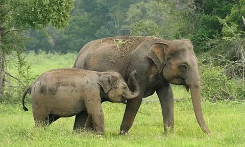 கோப்புப்படம்