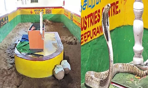 வடநெம்மேலி பாம்பு பண்ணை தற்காலிகமாக மூடல்