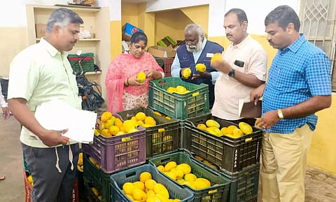 செயற்கை முறையில் பழுக்க வைக்கப்பட்ட 2 டன் மாம்பழங்கள் பறிமுதல்