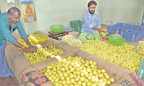 வெயில் வாட்டி வதைப்பதால் திருப்பூரில் எலுமிச்சை விலை உயர்வு