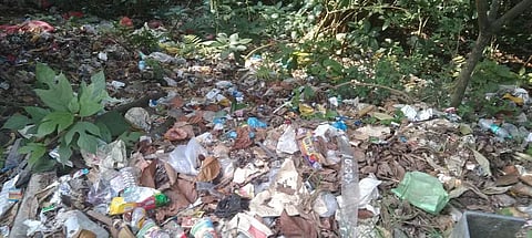 குமுளி மலைப்பாதையில் கொட்டப்படும்பிளாஸ்டிக் கழிவுகளை தின்பதால் உயிரிழக்கும் வனவிலங்குகள்