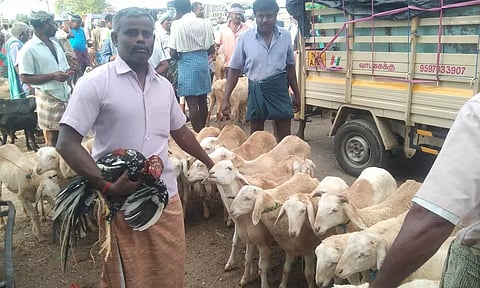 10 கிலோ ஆடு ரூ.5 ஆயிரத்துக்கு விற்பனை