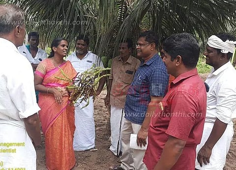 தென்னையை தாக்கும் பூச்சி -நோய்கள் பற்றிய விழிப்புணர்வு முகாம்